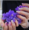 سالن زیبایی سالن زیبایی طراوت شیراز سالن زیبایی سالن زیبایی طراوت در شیراز