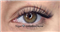 سالن زیبایی کاشت تخصصی مژه نگار   در  مشهد